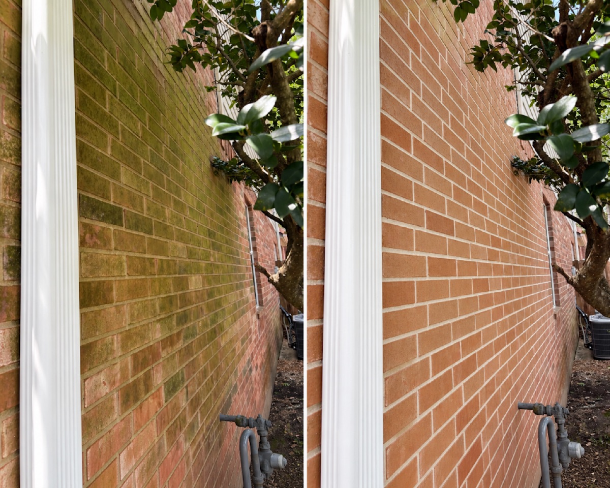Before and after house washing on a brick wall in Katy, TX, showing green algae removed