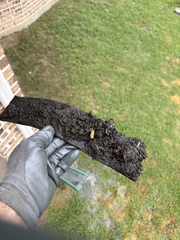 Sludge and debris removed from a gutter downspout during cleaning