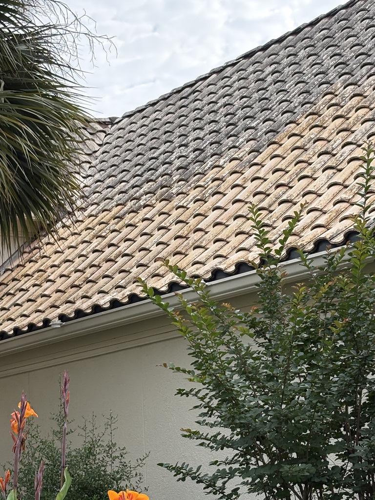 Dark algae staining on a home exterior in Katy, TX, a common sign it may be time for house washing
